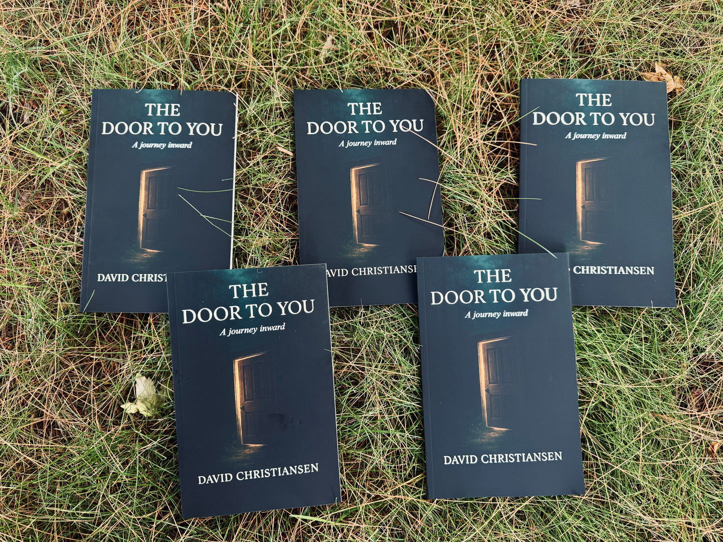 The Door To You by David Christiansen (Physical Copy)