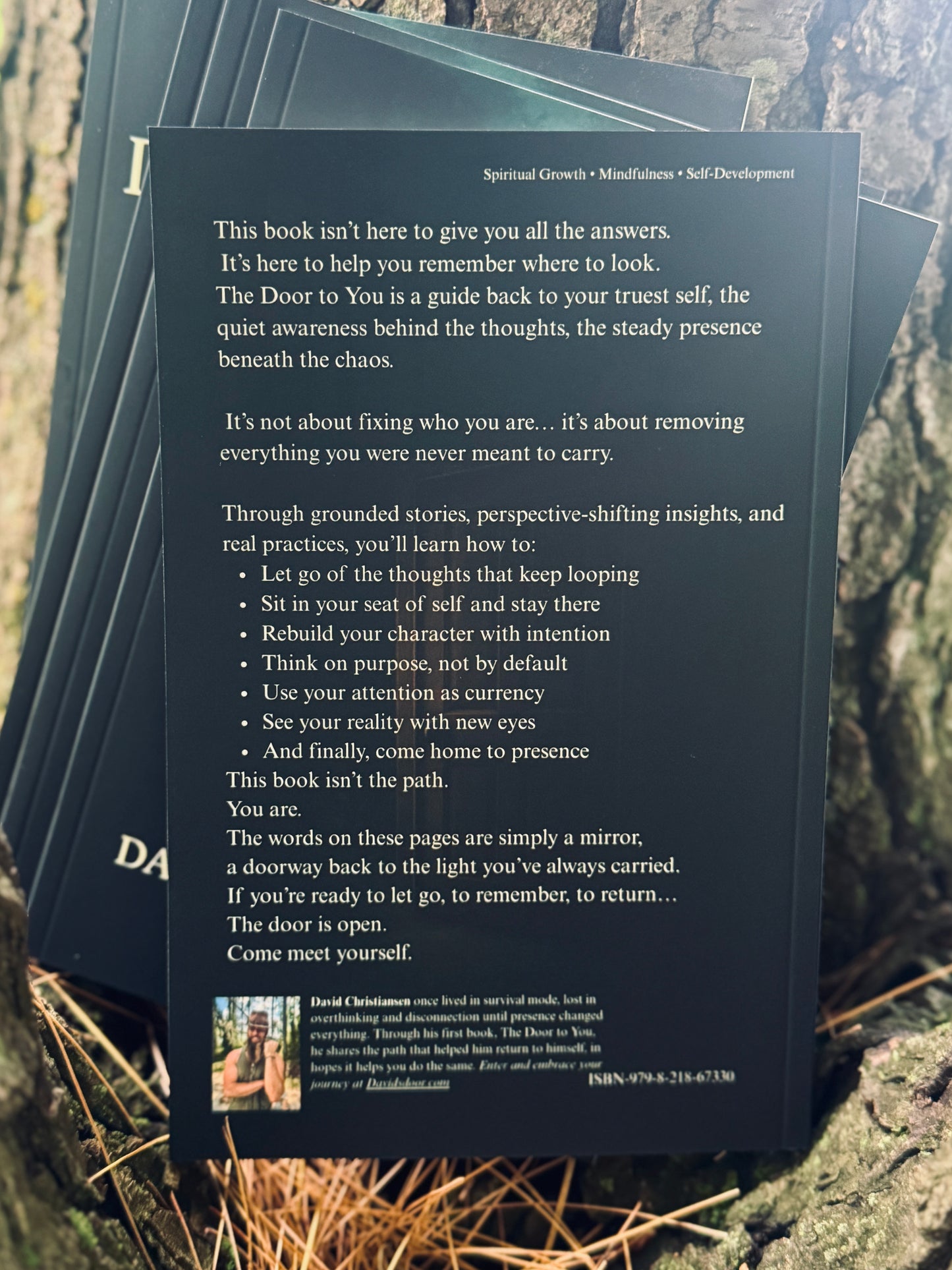 The Door To You by David Christiansen (Physical Copy)